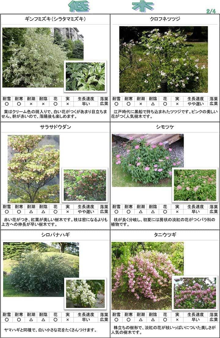 低木２